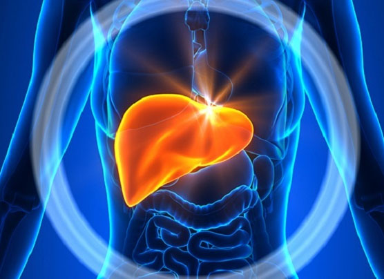 چگونه از شر کبد چرب خلاص شویم؟