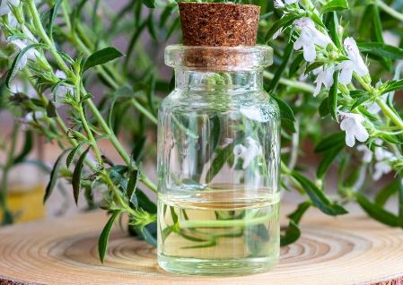 اگر سیر نمی خورید بجای آن مرزه بخورید