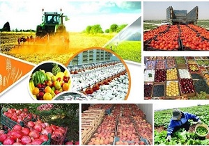 صدور ۵۹ هزار بیمه نامه محصولات دامی و کشاورزی در خراسان جنوبی
