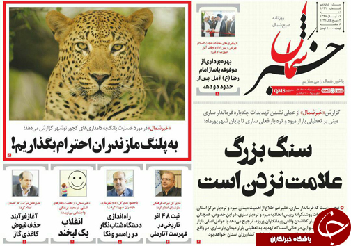 جاده&zwnj;های خونین غیر استاندارد/ به پلنگ مازندران احترام بگذاریم!