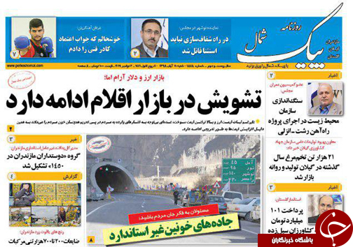 جاده&zwnj;های خونین غیر استاندارد/ به پلنگ مازندران احترام بگذاریم!