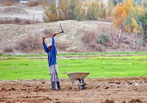 میرجاوه پربارش‌ترین و راسک گرمترین شهر‌های کشور شدند