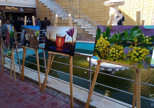برگزاری جشن شکرگزاری زرشک و زعفران در خراسان جنوبی+تصاویر