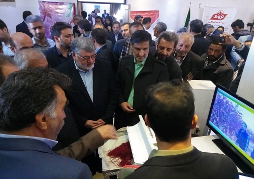 برگزاری جشن شکرگزاری زرشک و زعفران در خراسان جنوبی+تصاویر