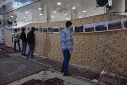 نمایشگاه عکس &laquo;چشمه نیاز&raquo; در قروه برپا شد