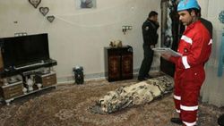 امدادرسانی به  ۳۲ مورد حادثه گازگرفتگی در مشهد
