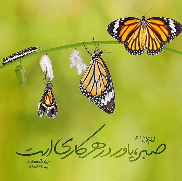 حدیث