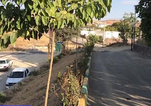 خشک شدن فضای سبز در اثر بی‌توجهی در «بیدک» دماوند + فیلم