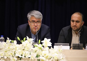 اردبیل در تشکیل سمن‌ها جزو استان‌های برتر کشور است