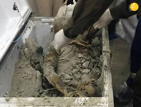 کشف جسد متلاشی شده زن ۵۸ ساله ر در یخچال خانه&zwnj;اش! + تصاویر