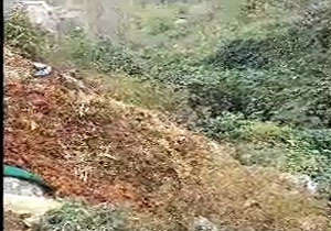 فیلمی از آلودگی محیط زیست در روستای زیارت