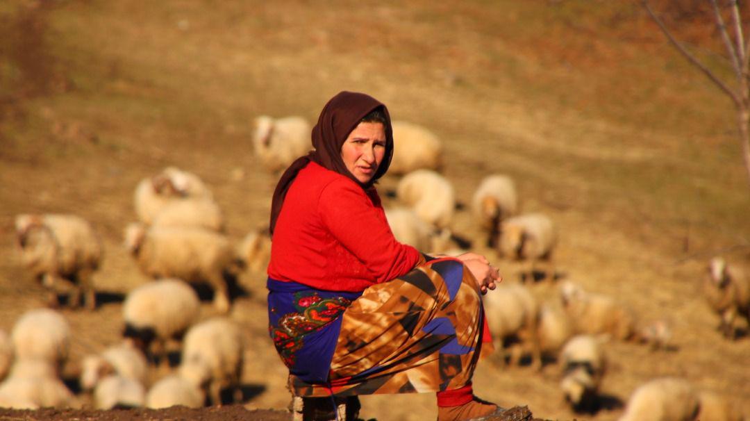 روایتی دیدنی از زنان کارآفرین بختیاری در &laquo;ایل من&raquo;