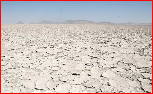 آخرین وضعیت گلستان بعد از بارندگی های شدید/کنوکارپوس و فلر&zwnj;های نفتی پای میز محاکمه/توزیع کیک آلوده در بازار استان کردستان صحت ندارد
