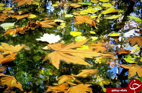 عکس&zwnj;های دیدنی از طبیعت پاییزی در شهر سامان