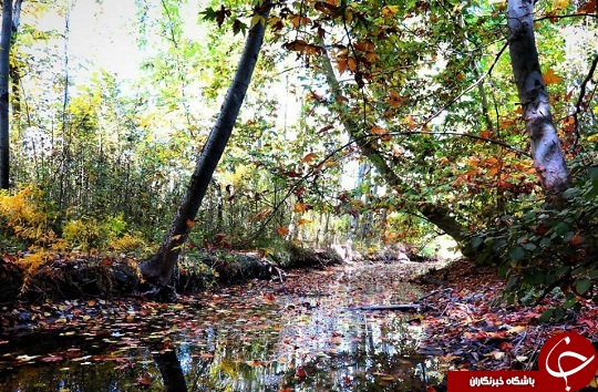 عکس&zwnj;های دیدنی از طبیعت پاییزی در شهر سامان