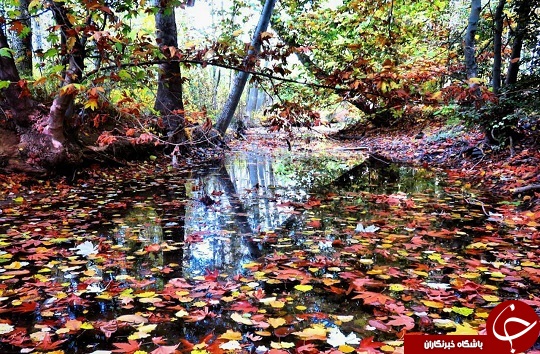 عکس&zwnj;های دیدنی از طبیعت پاییزی در شهر سامان