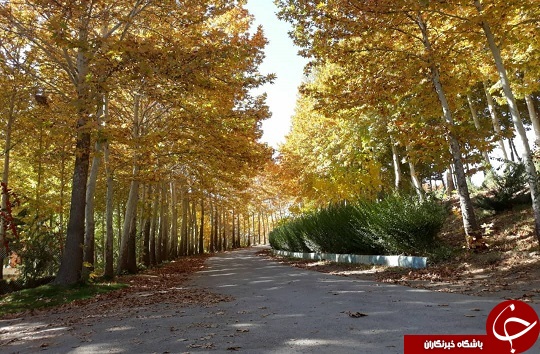 تصویری زیبا از پاییز حاشیه زاینده رود