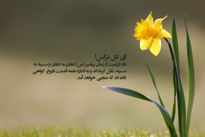 بسته شعر به مناسبت آغاز امامت ولی عصر (عج)