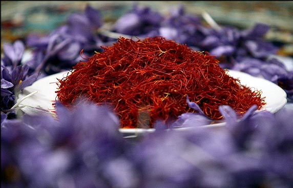 خلق شکوهی دیگر در راهپیمایی ۱۳ آبان/ طلای سرخ در وضعیت قرمز/ واقعیت چادر از سر کشیدن چند دانش آموز ابتدایی در کرج چه بود؟