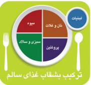 یک وعده غذایی باید شامل چه موادی باشد؟