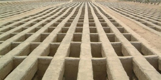 وقتی قیمت گورها با خانه مسکونی برابری می کند/ مرگ های گران قیمت