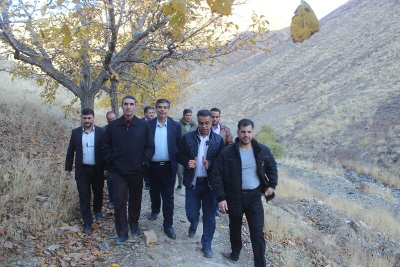 کاشت ۵۰ تا ۱۰۰ هزار اصله درخت در منطقه گردشگری دره گردو تا پایان سال