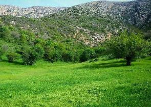 امکان کاشت سه باره محصولات کشاورزی در راز و جرگلان