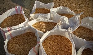 کشف بیش از ۲۳ تن گندم فاقد مجوز حمل در خراسان شمالی