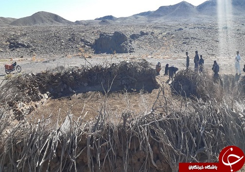 گوسفندانی که طعمه گرگ شدند