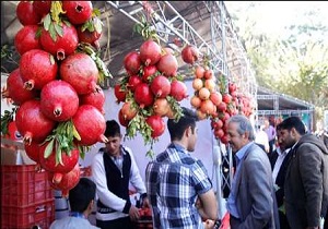استقبال چشمگیر مردم از جشنواره انار تفت