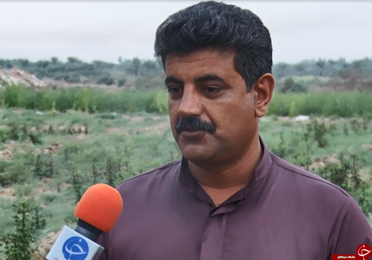 عَلوه، روستای دمنوش ها/چای ترش، محصولی که گردشگران را به سوی فرا میخواند عَلوه، روستای دمنوش ها/چای ترش، محصولی که گردشگران را به سوی فرا میخواند
