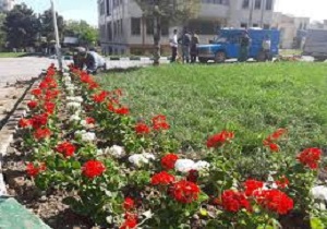 فضای سبز شهر یزد با انواع گل‌های فصلی آراسته می‌شود