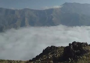 طبیعت زیبا همراه با مه صبحگاهی در سروآباد + فیلم