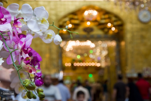 تصاویری دیدنی از کربلای معلی