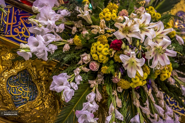 تصاویری دیدنی از کربلای معلی