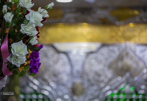 تصاویری دیدنی از کربلای معلی