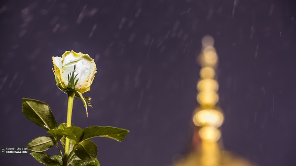 تصاویری دیدنی از کربلای معلی