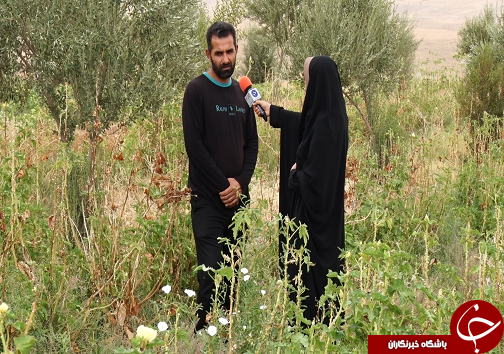قرارگاه پیشرفت و آبادانی،