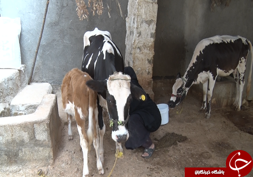 قرارگاه پیشرفت و آبادانی،