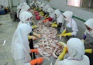 رفع موانع صادرات آبزیان به چین