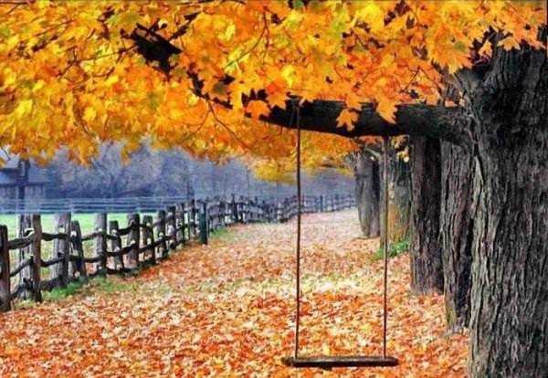 چگونه از زیبایی&zwnj;های فصل پاییز عکس بگیریم؟