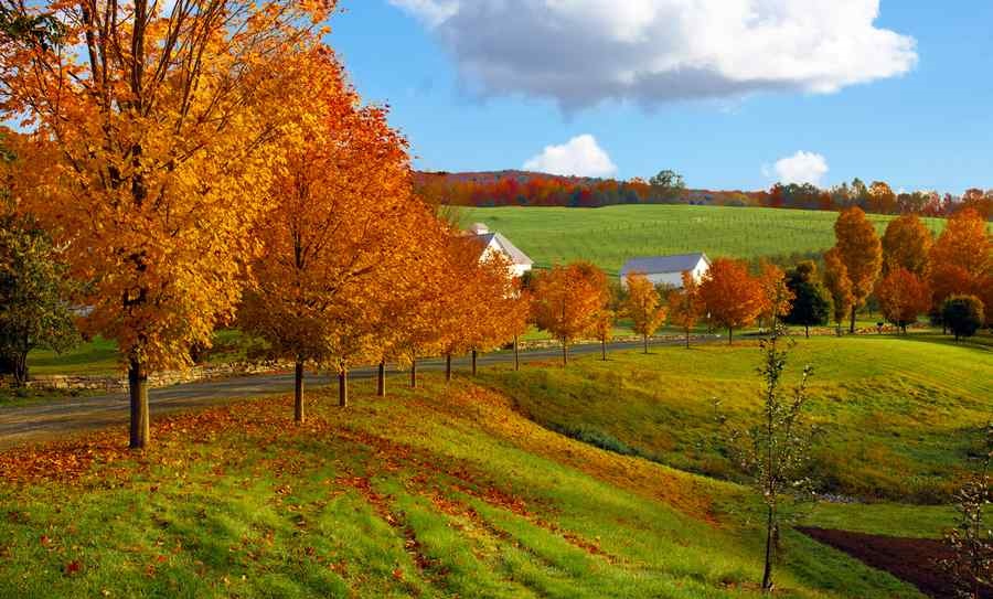 چگونه از زیبایی&zwnj;های فصل پاییز عکس بگیریم؟