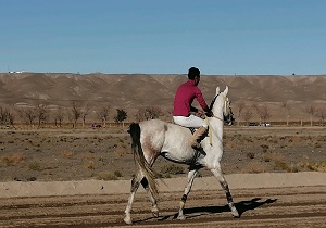 آغاز کورس اسب دوانی در شوکت آباد بیرجند