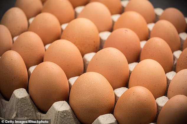 شرط بندی مرگبار سر تخم مرغ، جان جوان هندی را گرفت