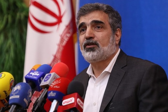 بازرسان آژانس فردا نمونه غنی شده در فردو را راستی آزمایی می&zwnj;کنند/ ظرفیت غنی سازی در فردو طی روز&zwnj;های آینده افزایش می&zwnj;یابد