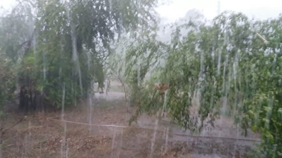 بارش شدید باران همراه باتگرگ و رعد و برق در بندرعباس + عکس