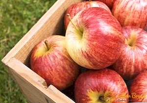 برداشت بیش از ۵۵ هزار تن سیب درختی از باغات چهارمحال و بختیاری