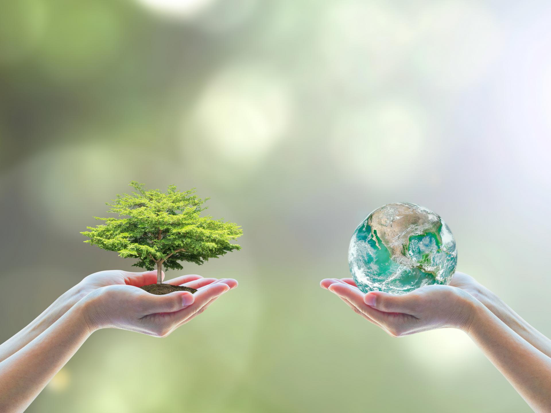 آغاز سومین همایش و بینار ملی آموزش محیط زیست از فردا