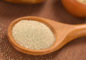 تولید بیش از ۴ میلیون کیلوگرم خمیرمایه در شرکت خمیر مایه و الکل رازی