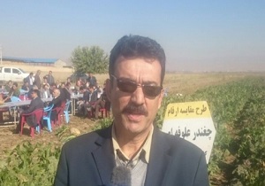 تولید سالانه ۲۰ میلیاون تن محصولات علوفه‌ای در کشور